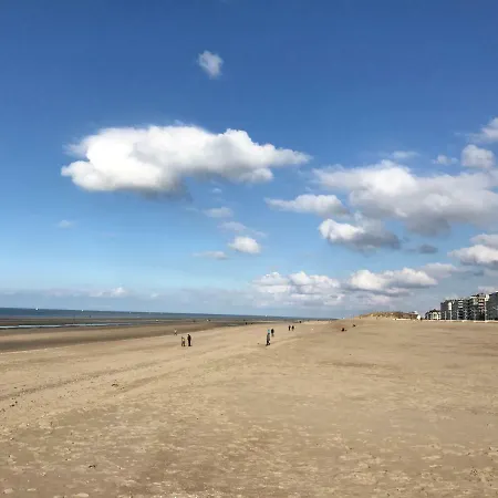 App Zeelaan C4 Апартаменты *